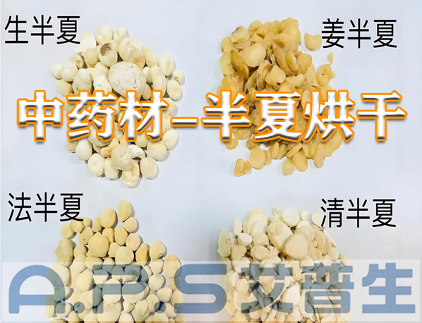 艾普生環(huán)境科技：半夏的烘干方法有哪些？哪一種烘干效果更好？